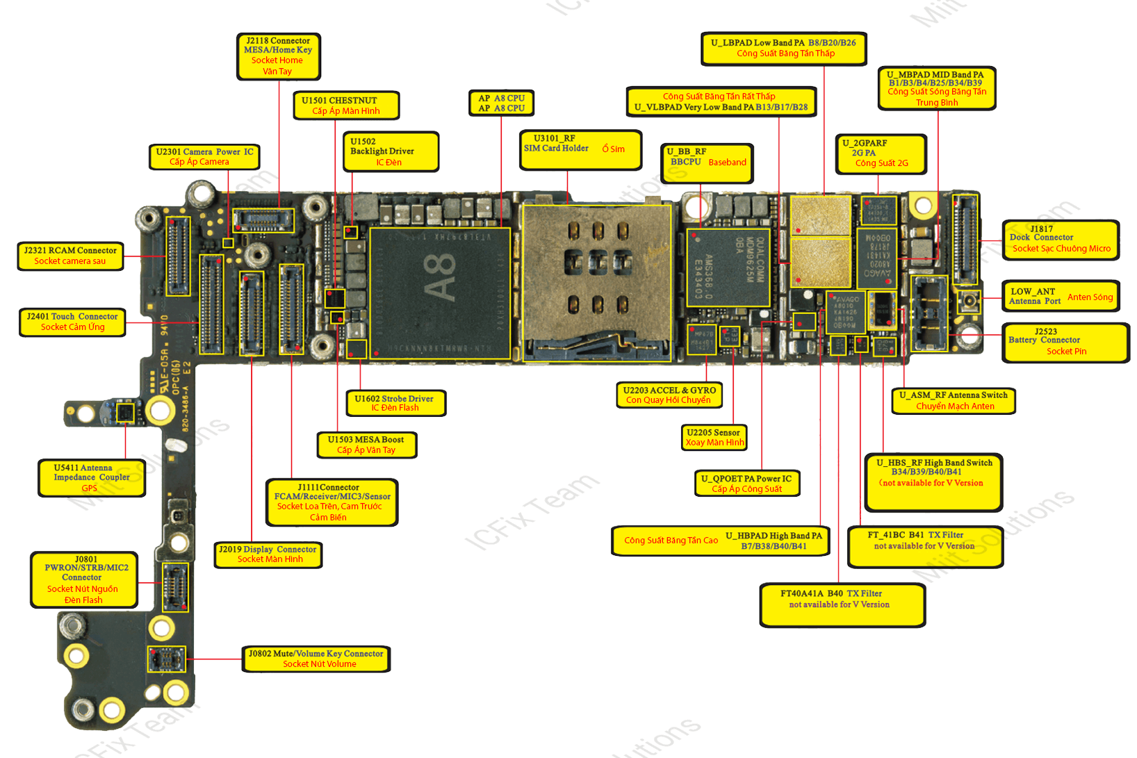 Tên và Chức Năng Linh Kiện iPhone 6 3 Linh Kiện iPhone 6 Mặt Trên